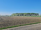Rolny na sprzedaż - Poczernin, Płońsk, Płoński, 1350 m², 55 000 PLN, NET-MXM-GS-487
