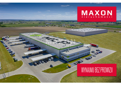 Magazyn do wynajęcia - ul. Polna Dąbrówka, Dopiewo, Poznański, 14 000 m², 54 600 Euro (235 872 PLN), NET-4485/PMW/MAX