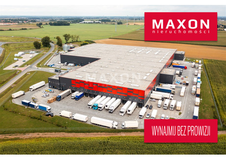 Magazyn do wynajęcia - Gniezno, Gnieźnieński, 9940 m², 41 748 Euro (180 351 PLN), NET-4408/PMW/MAX