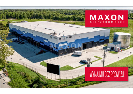 Magazyn do wynajęcia - Trzebownisko, Rzeszowski, 5000 m², 18 750 Euro (81 000 PLN), NET-4357/PMW/MAX