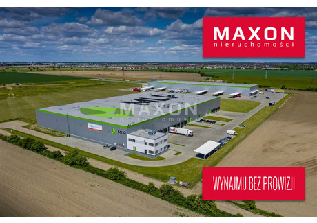 Magazyn do wynajęcia - ul. Polna Dąbrówka, Dopiewo, Poznański, 7600 m², 31 920 Euro (137 894 PLN), NET-4492/PMW/MAX