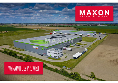 Magazyn do wynajęcia - ul. Polna Dąbrówka, Dopiewo, Poznański, 2800 m², 11 200 Euro (48 048 PLN), NET-4646/PMW/MAX