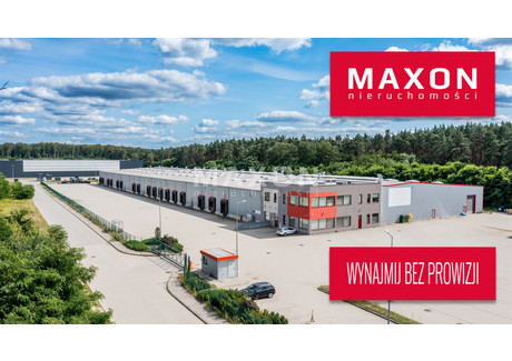 Magazyn do wynajęcia - ul. Logistyczna Słubice, Słubicki, 12 000 m², 49 200 Euro (212 544 PLN), NET-4657/PMW/MAX