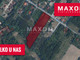 Działka na sprzedaż - Radonie, Grodzisk Mazowiecki, Grodziski, 19 999 m², 3 179 841 PLN, NET-896/GI/MAX