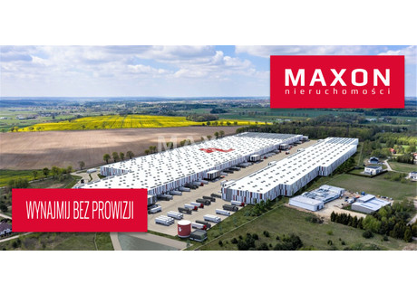 Magazyn do wynajęcia - ul. Dębowa Barniewice, Gdańsk, 10 000 m², 48 000 Euro (206 880 PLN), NET-4629/PMW/MAX