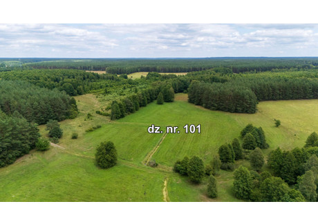 Działka na sprzedaż - Rekownica, Jedwabno, Szczycieński, 25 000 m², 137 500 PLN, NET-3310