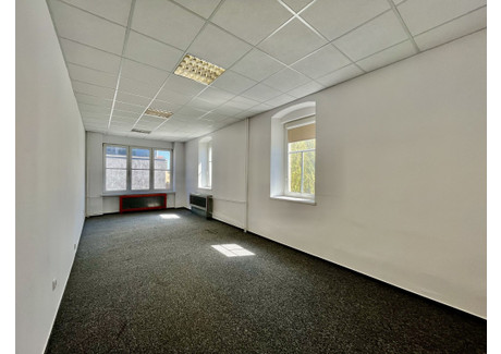Biuro do wynajęcia - Mickiewicza Adama Śródmieście, Łódź, 36 m², 900 PLN, NET-74