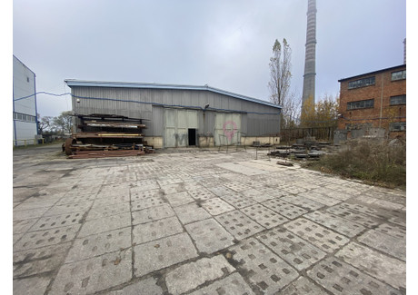 Magazyn, hala do wynajęcia - Podjuchy, Szczecin, 800 m², 12 195 PLN, NET-MAP22139