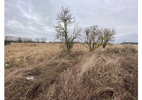 Działka na sprzedaż - Czarna Łąka, Goleniów, Goleniowski, 1020 m², 199 000 PLN, NET-MAP22587