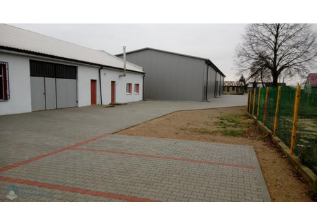 Magazyn do wynajęcia - Stanisławowo, Pomiechówek, Nowodworski, 450 m², 8000 PLN, NET-139526