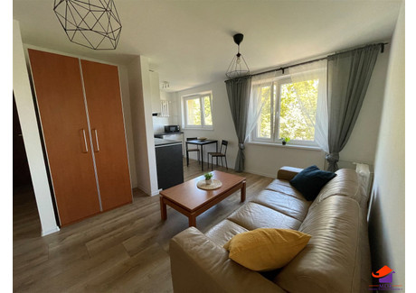 Mieszkanie do wynajęcia - Rokitnica, Zabrze, Zabrze M., 40,14 m², 1300 PLN, NET-MDK-MW-11304