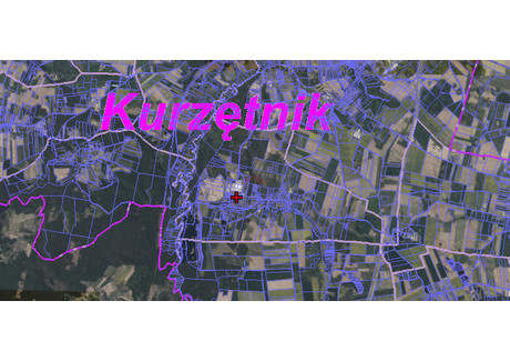 Działka na sprzedaż - Poznańska Nielbark, Kurzętnik (Gm.), Nowomiejski (Pow.), 6997 m², 490 000 PLN, NET-253