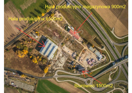 Fabryka, zakład do wynajęcia - Żmigród, Trzebnicki, 12 000 m², 79 000 PLN, NET-VX215546