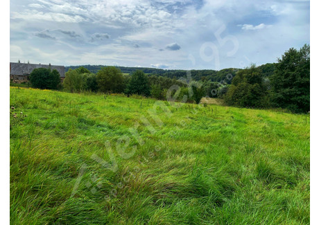 Działka na sprzedaż - Czernica, Jeżów Sudecki, Jeleniogórski, 1733 m², 180 000 PLN, NET-VX138450