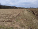 Rolny na sprzedaż - Wola Batorska, Niepołomice, Wielicki, 16 100 m², 810 000 PLN, NET-FUPA676