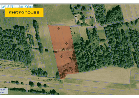 Działka na sprzedaż - Marysin, Kotuń, Siedlecki, 9900 m², 75 000 PLN, NET-SGSUTY195