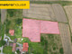 Rolny na sprzedaż - Stary Wielisław, Kłodzko, Kłodzki, 5700 m², 195 000 PLN, NET-PASE792