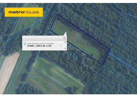 Działka na sprzedaż - Ujazdów, Nielisz, Zamojski, 11 000 m², 45 000 PLN, NET-SGMUGI271