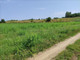Rolny na sprzedaż - Likiec, Skępe, Lipnowski, 20 300 m², 130 000 PLN, NET-XURI193