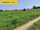Rolny na sprzedaż - Likiec, Skępe, Lipnowski, 20 300 m², 130 000 PLN, NET-XURI193