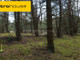 Leśne na sprzedaż - Iwiec, Cekcyn, Tucholski, 34 920 m², 400 000 PLN, NET-SGLUZE506