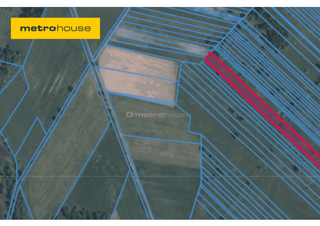 Działka na sprzedaż - Gągolina, Baranów, Grodziski, 58 000 m², 1 500 000 PLN, NET-SGMICO340