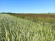 Rolny na sprzedaż - Rogozina, Trzebiatów, Gryficki, 916 m², 99 000 PLN, NET-WYBA136