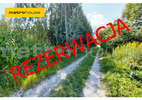 Działka na sprzedaż - Chotel Czerwony, Wiślica, Buski, 3900 m², 55 000 PLN, NET-SGGARU596