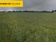 Rolny na sprzedaż - Krzywiec, Aleksandrów Łódzki, Zgierski, 51 937 m², 4 950 000 PLN, NET-GEZI248