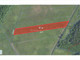 Rolny na sprzedaż - Czarna Sędziszowska, Sędziszów Małopolski, Ropczycko-Sędziszowski, 5300 m², 38 000 PLN, NET-JEBE270