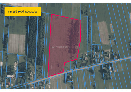 Działka na sprzedaż - Gągolina, Siennica, Miński, 40 000 m², 2 000 000 PLN, NET-SGLACI574