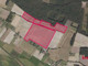 Rolny na sprzedaż - Borzynowo, Gmina Milicz, Milicki, 160 200 m², 1 690 000 PLN, NET-JZ/20231116