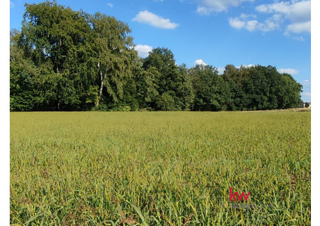 Działka na sprzedaż - Katowicka Czechowice-Dziedzice, Bielski, 4127 m², 826 600 PLN, NET-KW481216