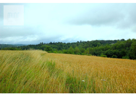 Działka na sprzedaż - Podgrodzie, 6800 m², 239 000 PLN, NET-18517