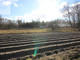 Rolny na sprzedaż - Dąbie, 8100 m², 31 000 PLN, NET-17772