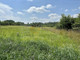 Rolny na sprzedaż - Podegrodzie, Podegrodzie (Gm.), Nowosądecki (Pow.), 10 000 m², 150 000 PLN, NET-080G