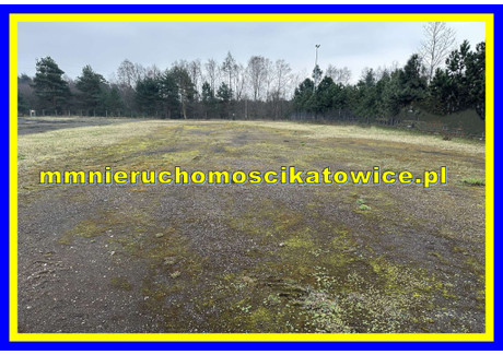 Działka do wynajęcia - Jaworzno, 4490 m², 6730 PLN, NET-19126118