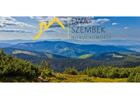 Dom na sprzedaż - Nowy Sącz, Nowy Sącz M., 254,33 m², 1 100 000 PLN, NET-SBK-DS-17886