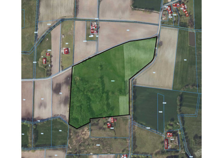 Działka na sprzedaż - Paproć, Nowy Tomyśl, Nowotomyski, 56 621 m², 750 000 PLN, NET-2/16489/OGS