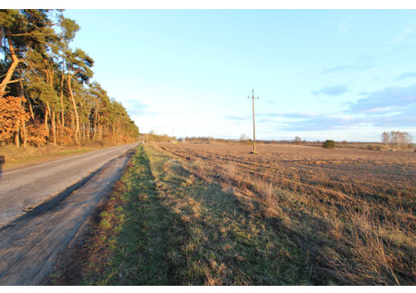 Działka na sprzedaż - Buszewo Pniewy, Pniewy (gm.), Szamotulski (pow.), 9723 m², 619 000 PLN, NET-212