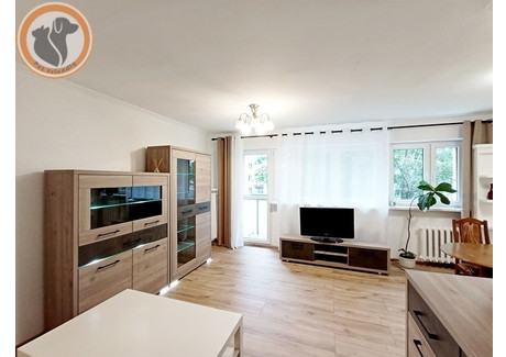 Mieszkanie do wynajęcia - Wrzeciono Bielany, Warszawa, 57 m², 2590 PLN, NET-32052/4034/OMW