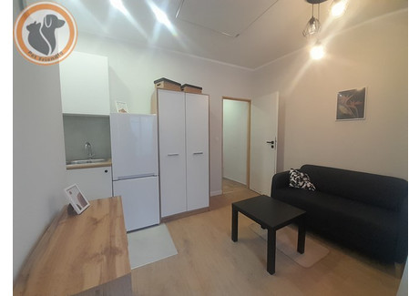 Mieszkanie do wynajęcia - Cmentarna Chorzów, 22 m², 1190 PLN, NET-31663/4034/OMW