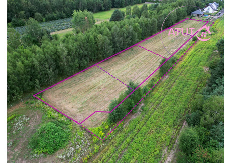 Działka na sprzedaż - Kasztanowa Skierniewice, 1000 m², 259 000 PLN, NET-619948