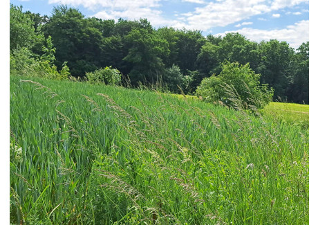 Działka na sprzedaż - Podniebyle, Jedlicze, Krośnieński, 6089 m², 49 000 PLN, NET-156