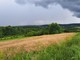 Rolny na sprzedaż - Sieklówka, Kołaczyce (gm.), Jasielski (pow.), 8575 m², 57 000 PLN, NET-134