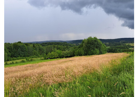 Działka na sprzedaż - Sieklówka, Kołaczyce, Jasielski, 8575 m², 52 000 PLN, NET-134