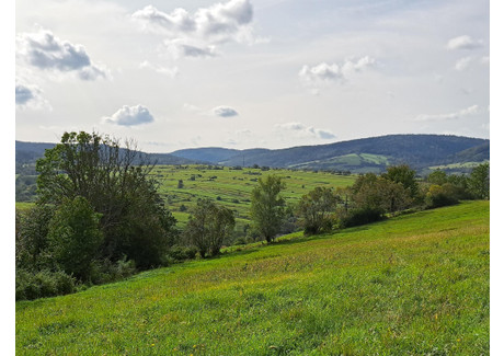 Działka na sprzedaż - Posada Jaśliska, Dukla (Gm.), Krośnieński (Pow.), 9900 m², 55 000 PLN, NET-142