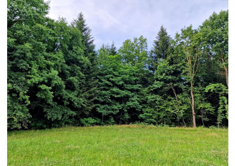 Działka na sprzedaż - Sitnica, Biecz, Gorlicki, 17 701 m², 249 000 PLN, NET-76