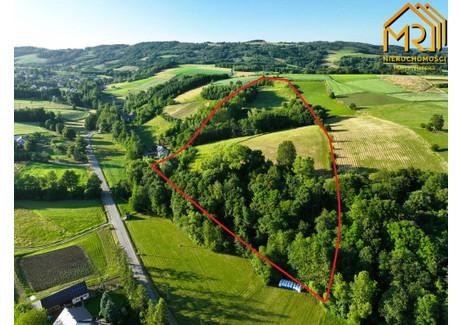 Działka na sprzedaż - Wola Lubecka, Ryglice, Tarnowski, 47 900 m², 249 000 PLN, NET-10/2024-175