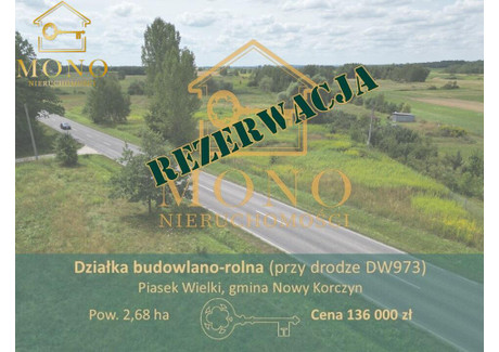 Działka na sprzedaż - Piasek Wielki, Nowy Korczyn, Buski, 26 800 m², 136 000 PLN, NET-95